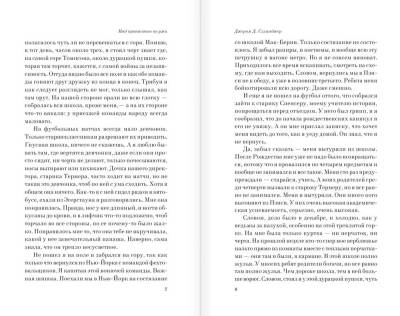 Над пропастью во ржи с доставкой по Минску от 70 рублей бесплатно!